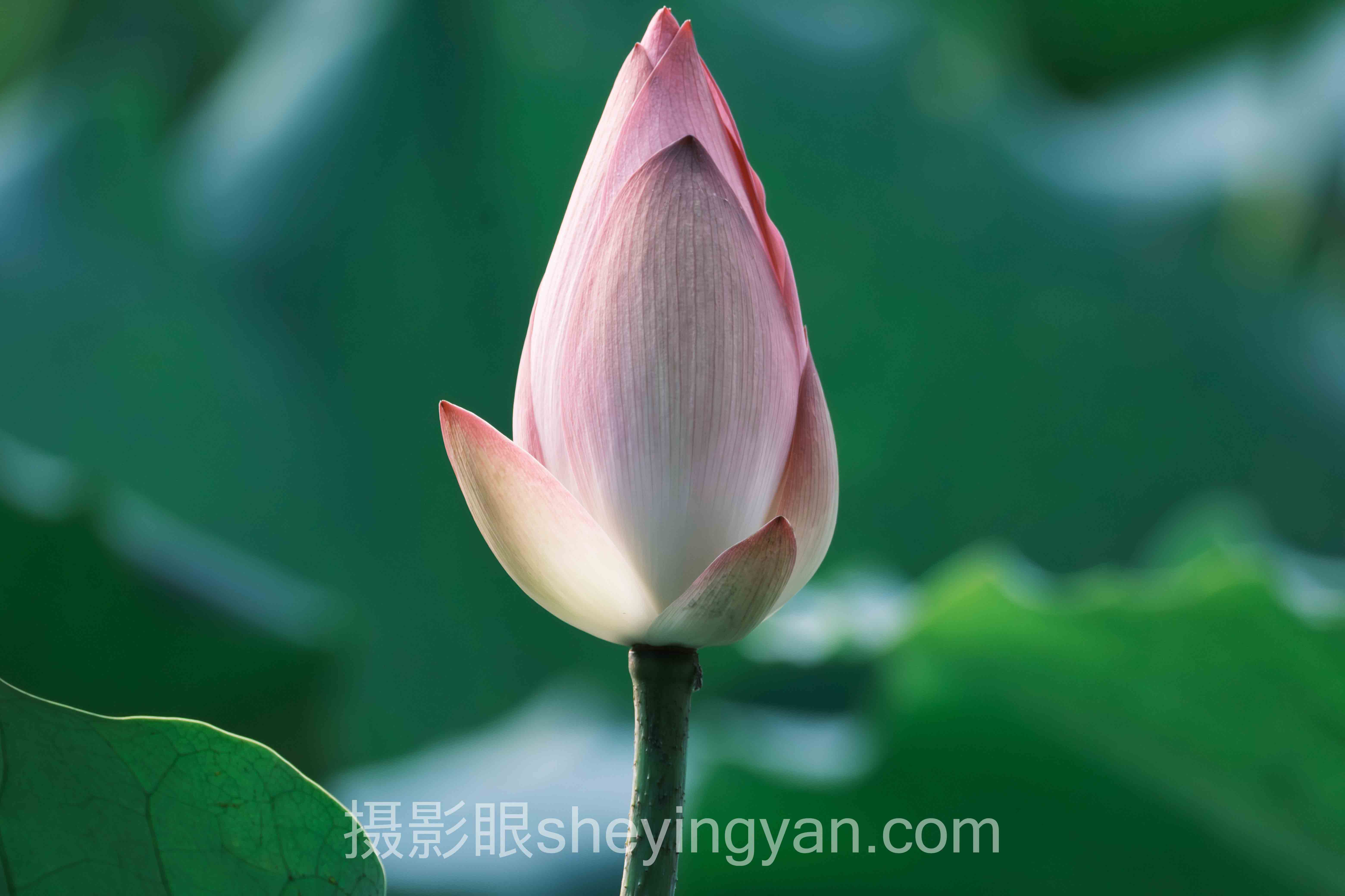 风景摄影照片点评