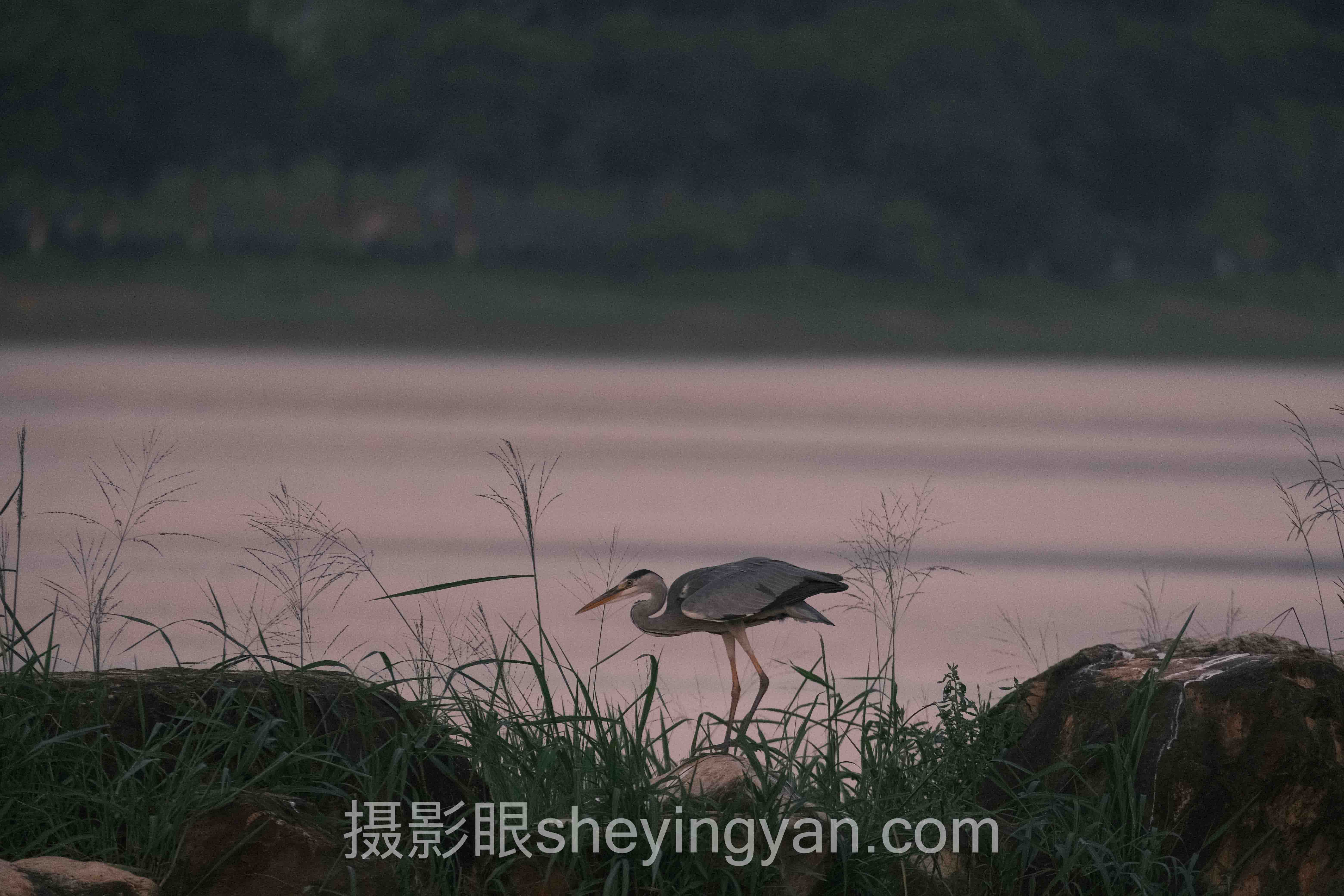 对话行业专家：摄影眼平台星芒的关键洞察与前瞻
