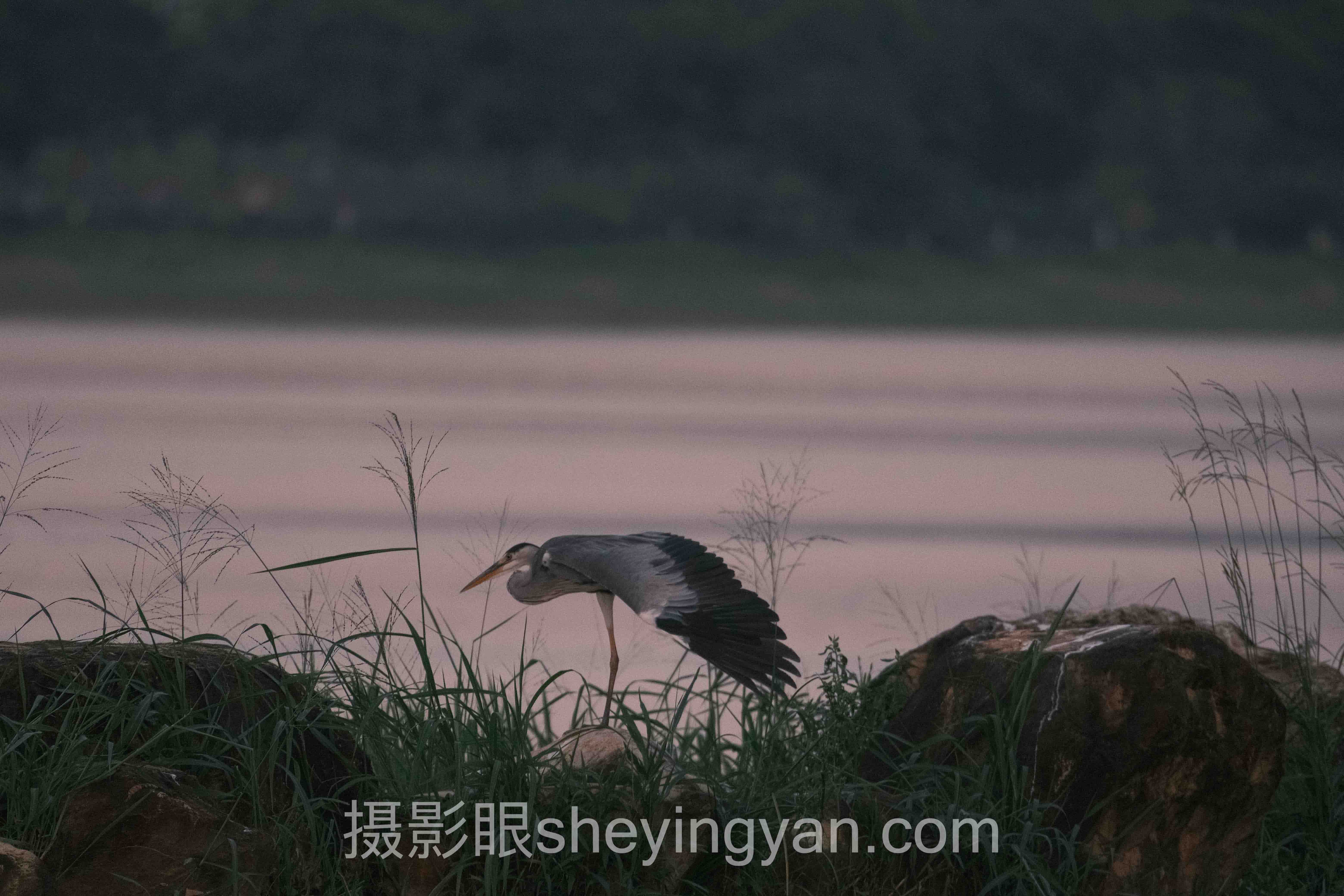 摄影眼官网sheyingyan.com