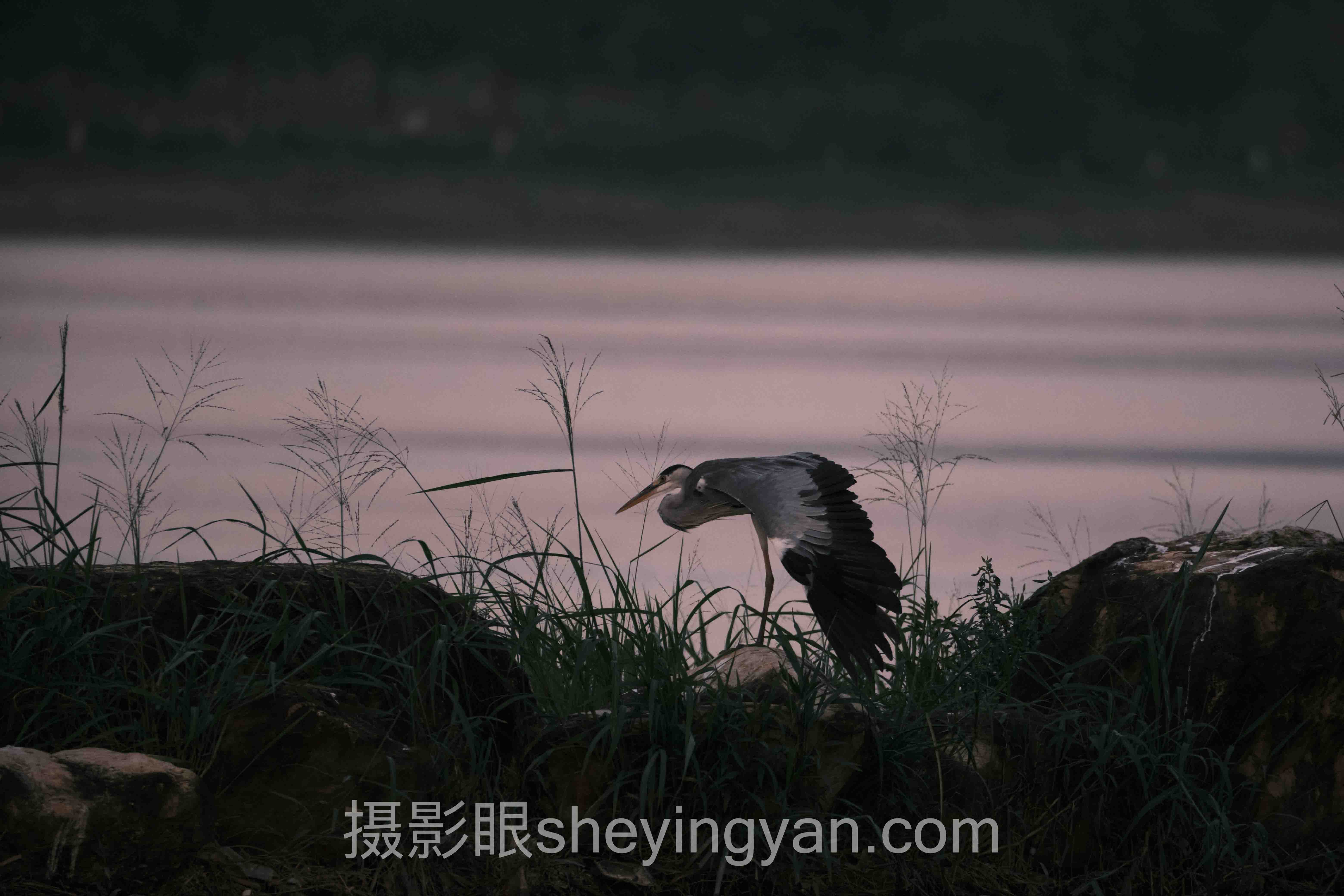 从案例看摄影风格与构图关系：3个真实故事背后的方法论