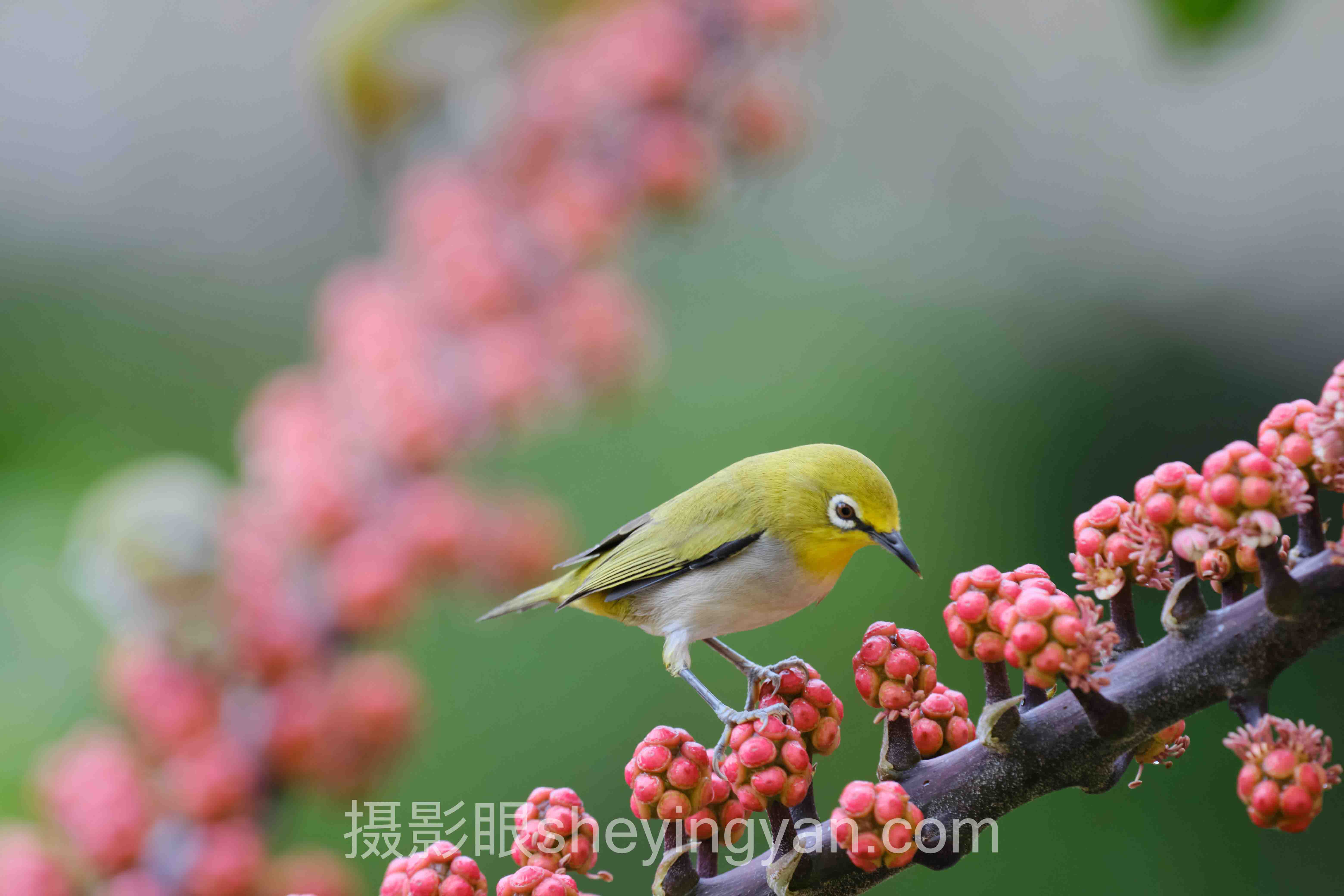 极简摄影风格特点十人谈:多位专家的核心观点汇总
