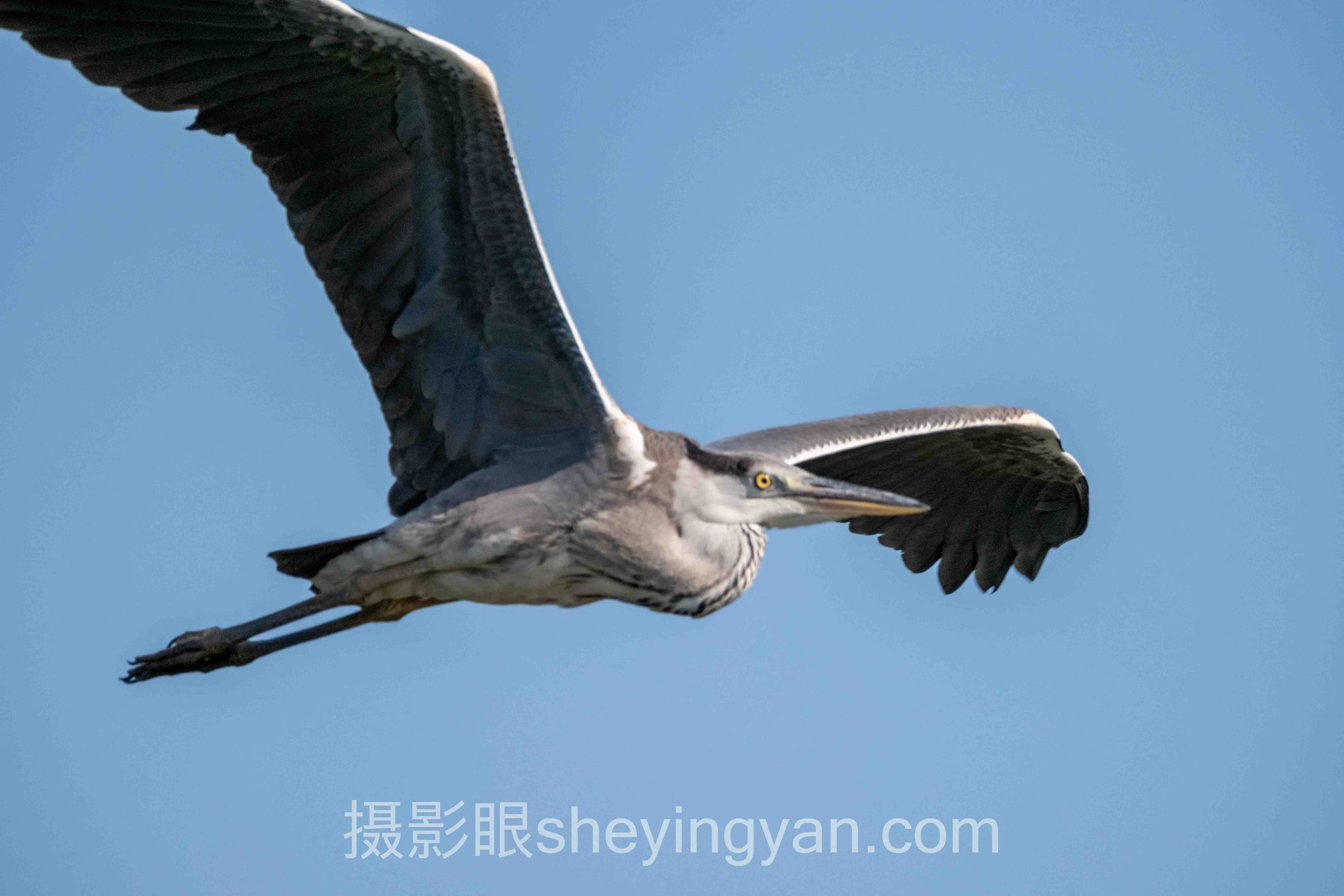 从案例看摄影新手常见错误:3个真实故事背后的方法论