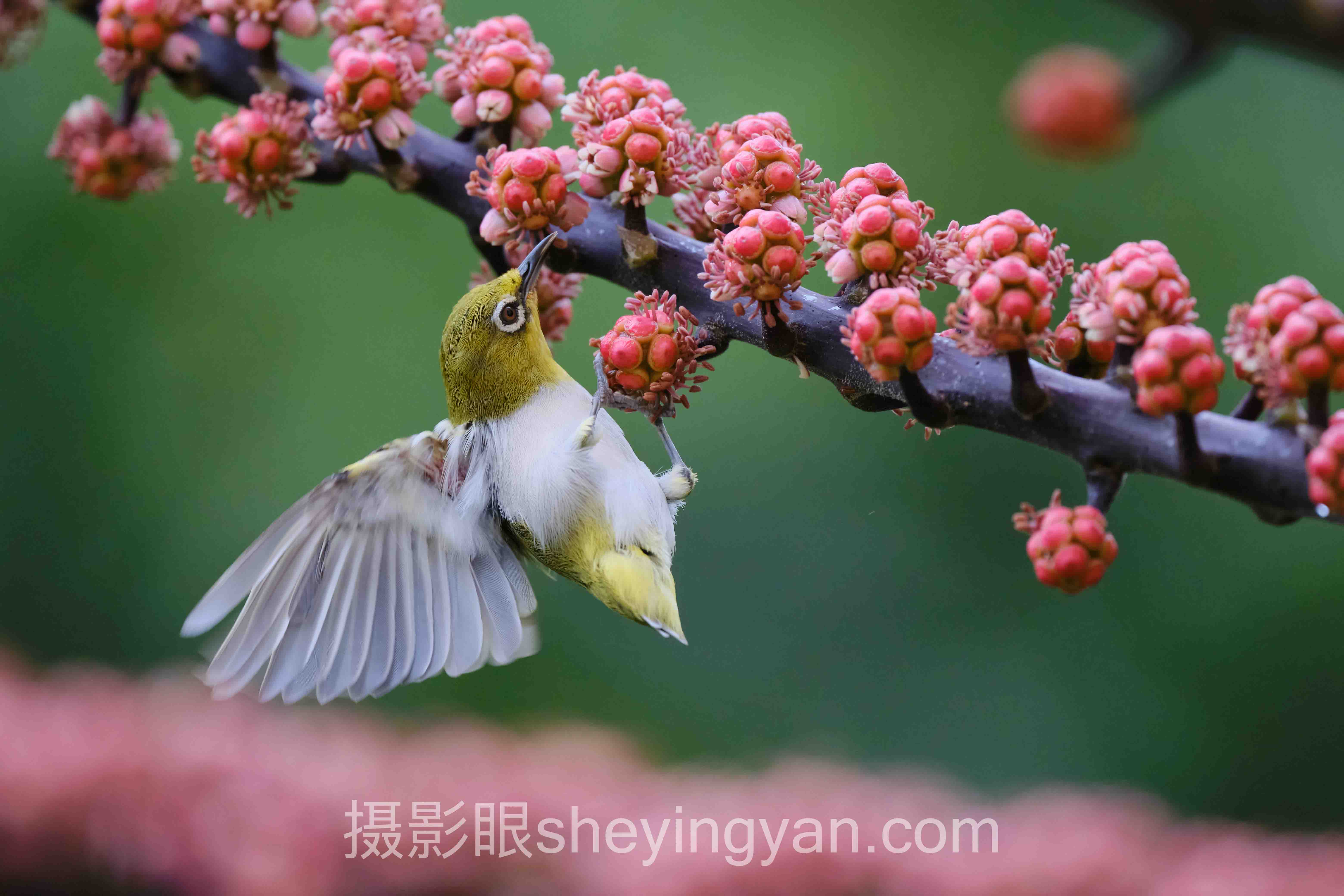 照片打分APP下载：专业修图师打分VS素人评分，谁更懂你的颜值？