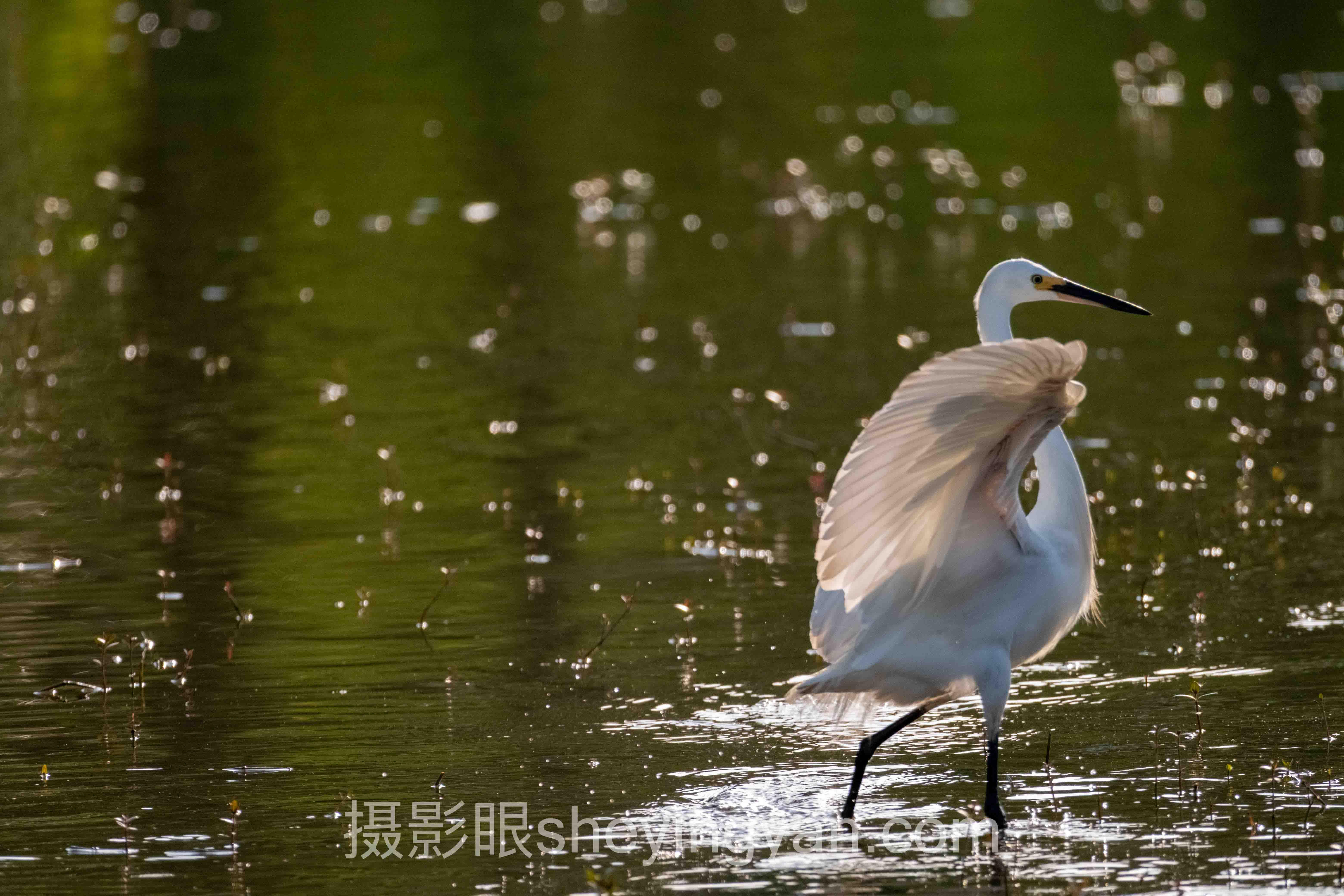 商业摄影评分标准全问答：你想知道的都在这里