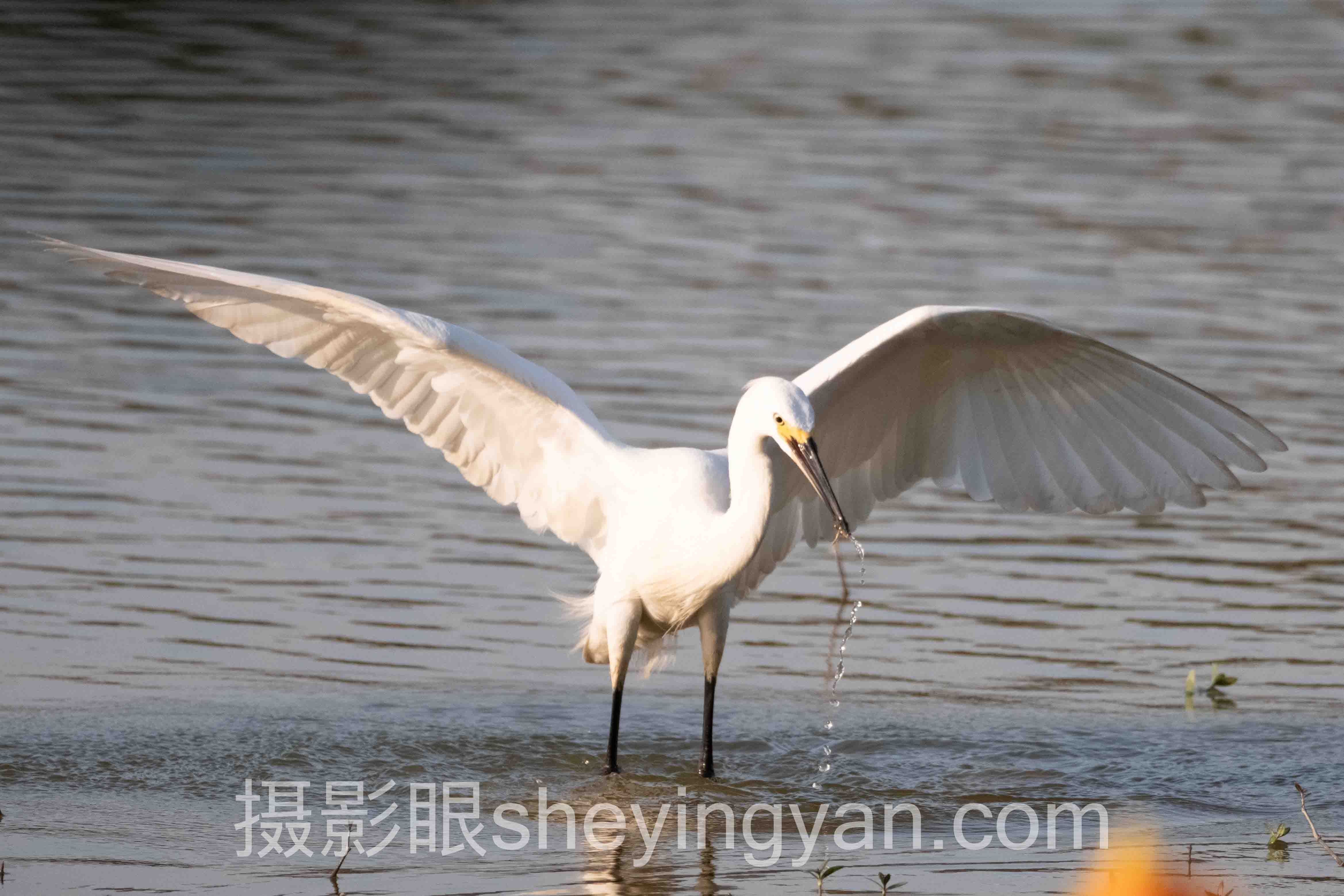 深度解析：摄影眼测试题在线的核心问题与答案